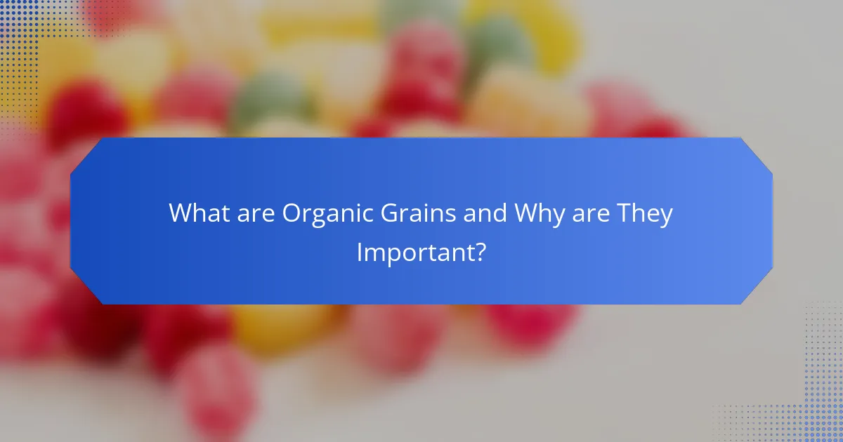 What are Organic Grains and Why are They Important?