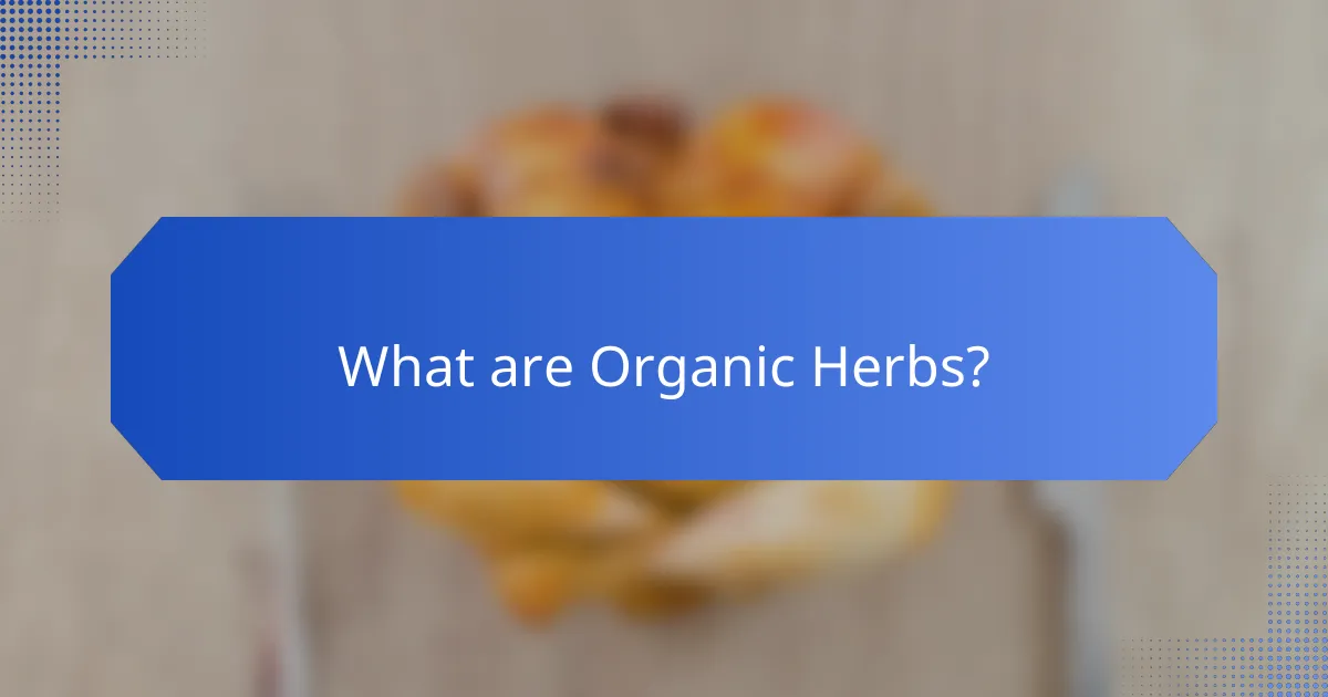 What are Organic Herbs?