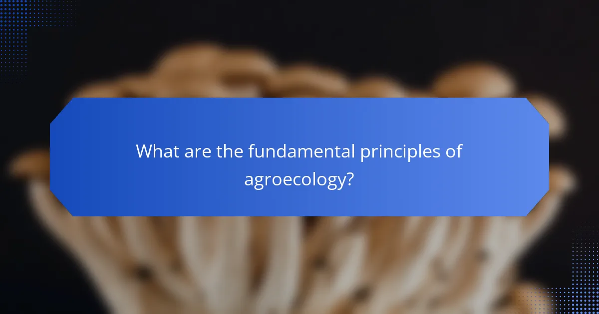 What are the fundamental principles of agroecology?